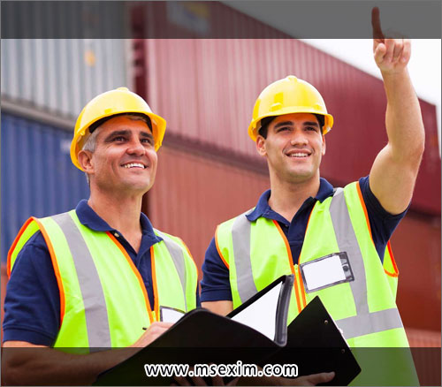 M.S. Exim Services Custom House Agents in Ludhiana Punjab India